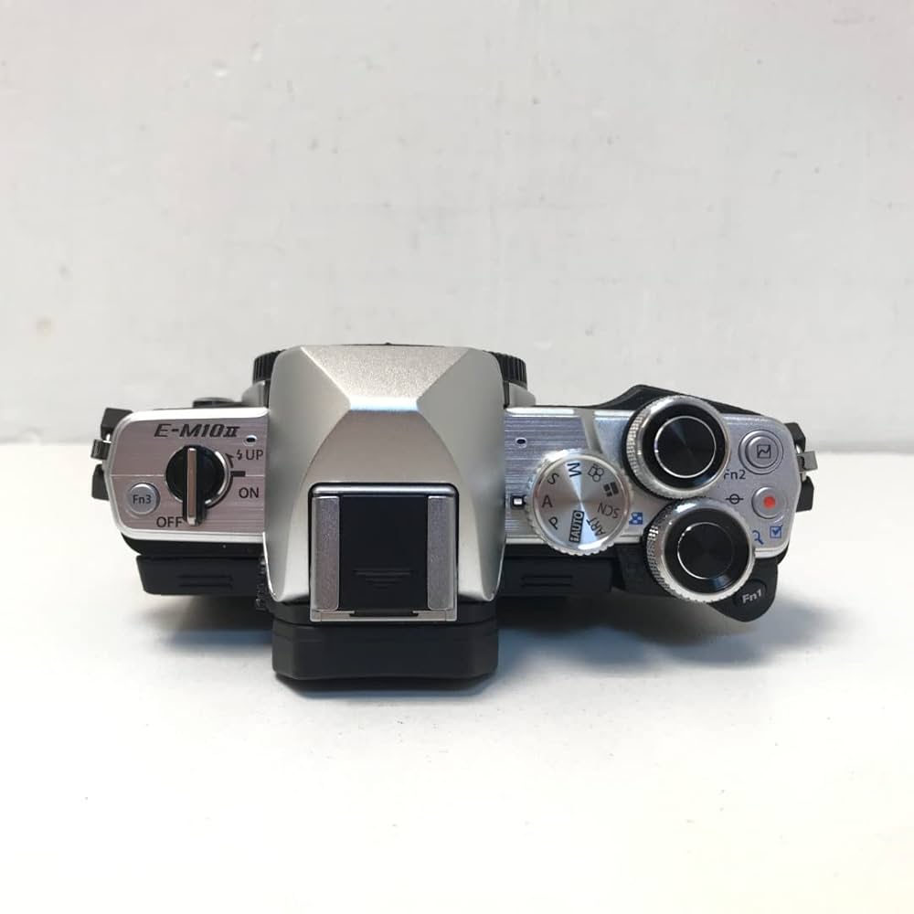 OLYMPUS OM-D E-M10 MarkII シルバー+セット＆単焦点 OM-D オリンパス ミラーレス OLYMPUS E-M10 Mark II レンズ